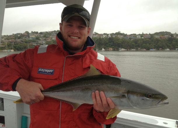 Sydney Harbour king – WAECO photo comp entry